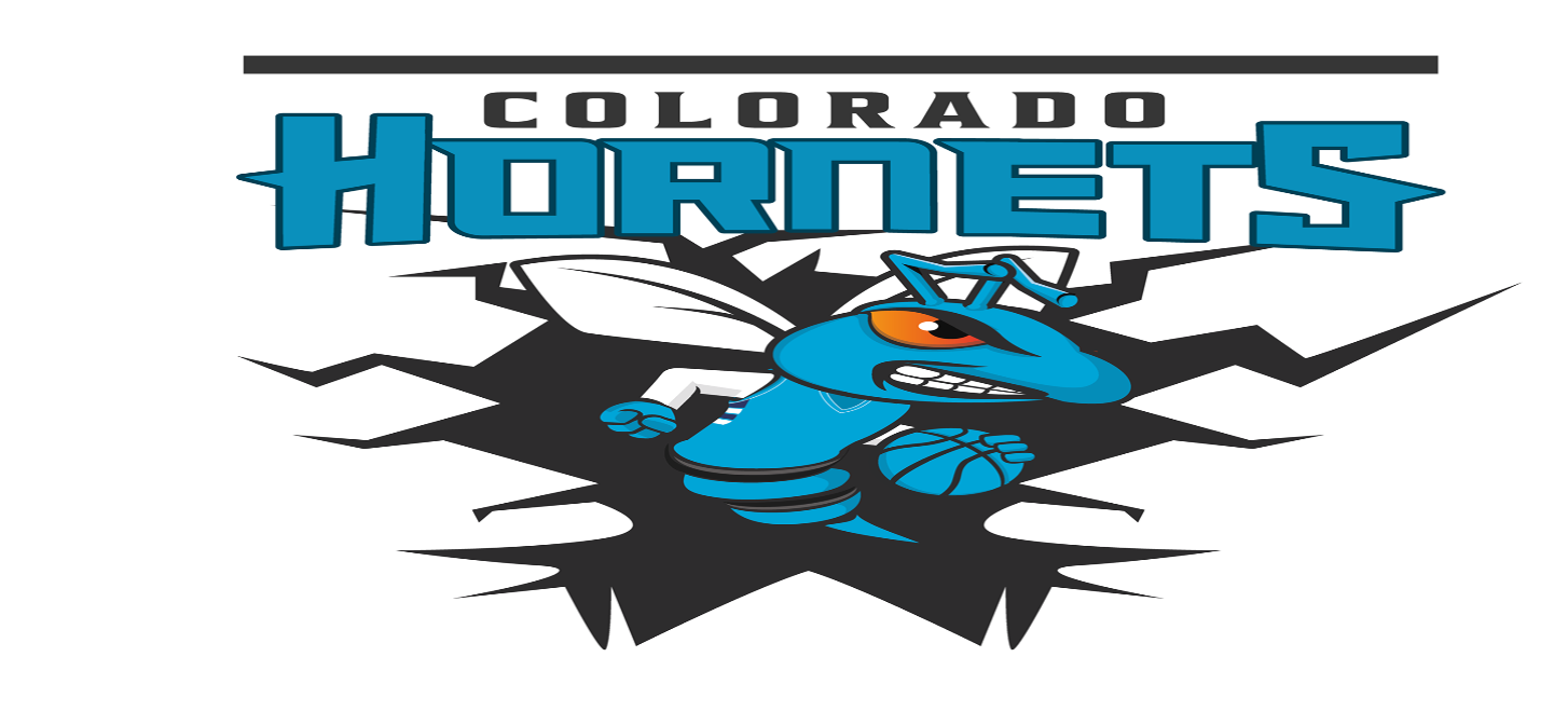 Colorado Hornet Youth Basketball Club of Thornton Co Logo